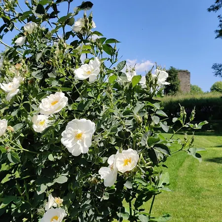 Au Fond Du Bourg Апартаменты
